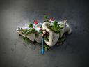 Tiny_World_by_Jesar.jpg