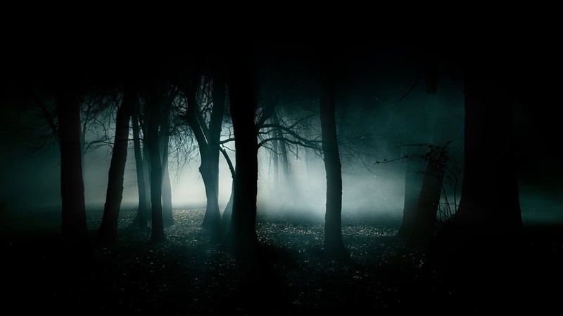 6_horror_creepy_dark_creepy_forest.jpg