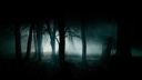 6 horror creepy dark creepy forest