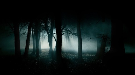 6 horror creepy dark creepy forest